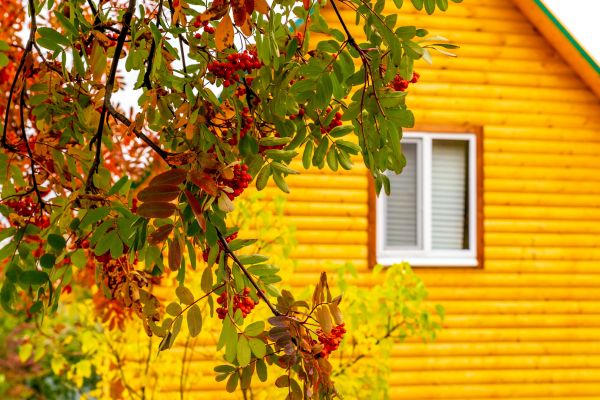 Cost of Garden Window Replacement in Bloomington